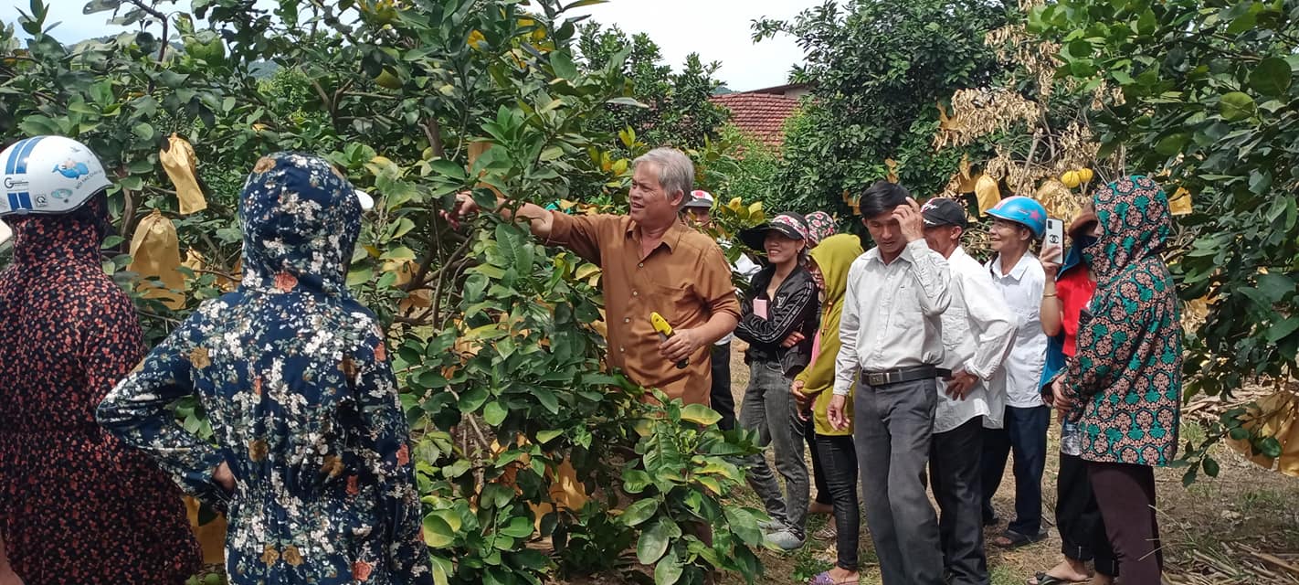 Hội Nông dân xã Hương Trạch phối hợp tổ chức tập huấn về kỹ thuật trồng và chăm sóc cây Bưởi Phúc Trạch