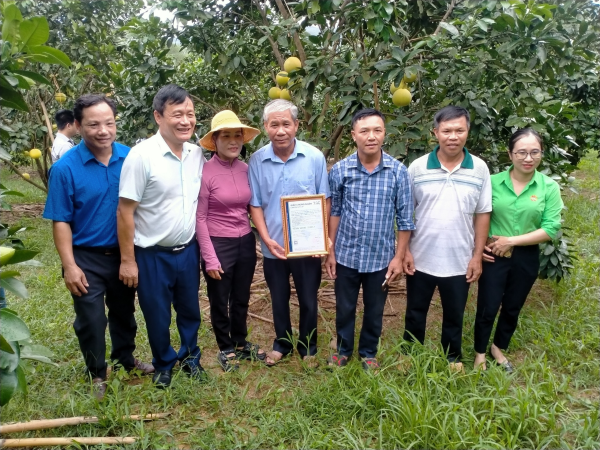 Nông dân xã Hương Trạch đón nhận Giấy chứng nhận tiêu chuẩn hữu cơ năm thứ nhất